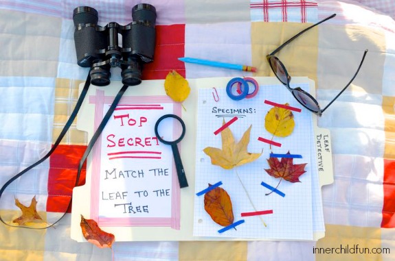 Autumn Nature Activity: Match the Leaf to the Tree!