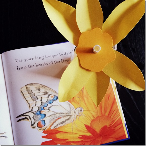 Butterfly life cycle lesson plans.  (with free printable)