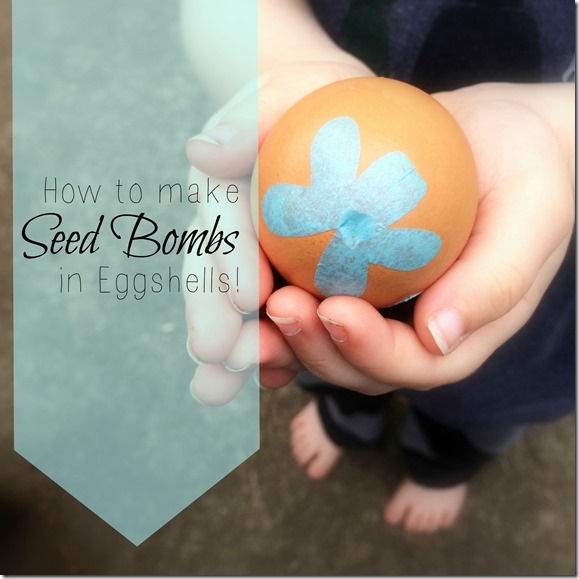 How to Make Seed Bombs