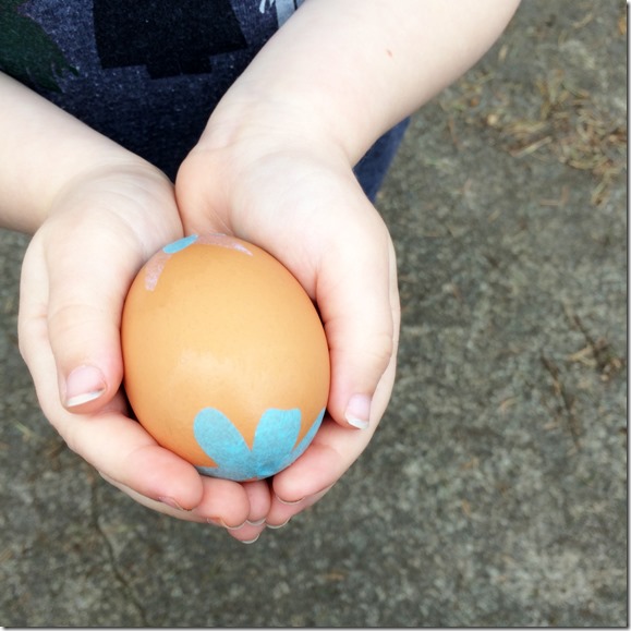 How to Make Seed Bombs