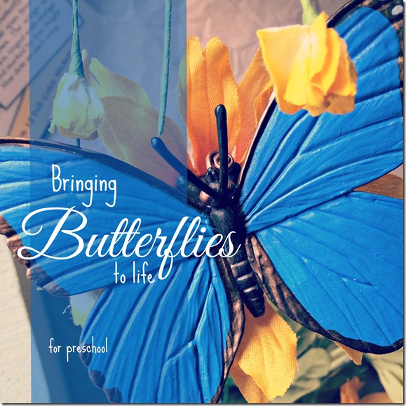 Butterfly life cycle lesson plans.  (with free printable)