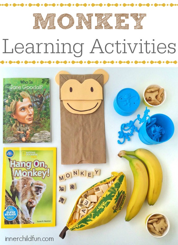 monkey pictures for kids activity