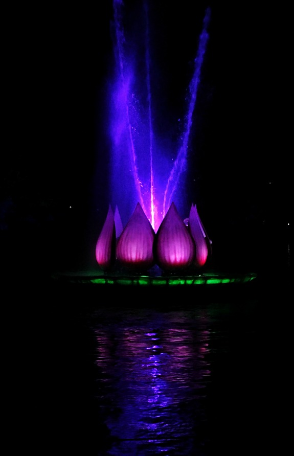 Rivers of Light Nighttime Spectacular