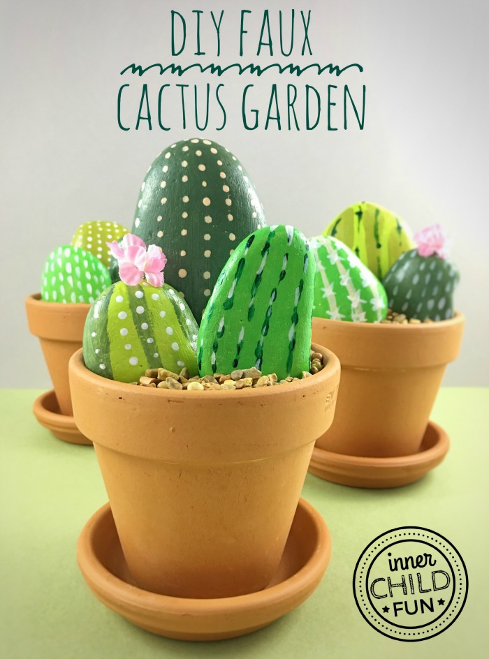 rock cactus garden