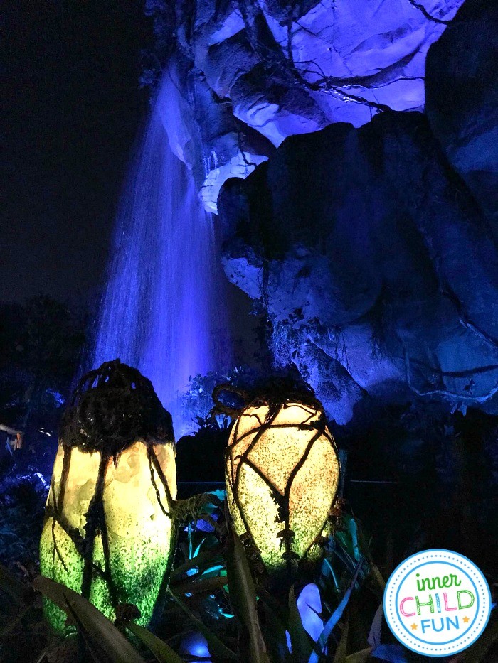 Things to do at Pandora