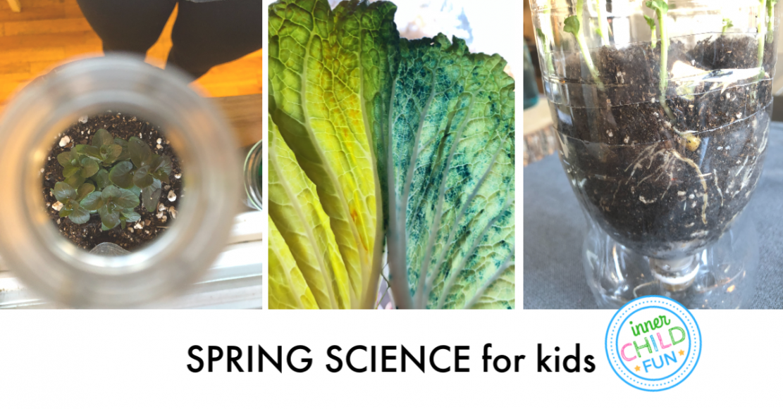 Simple Spring Science Projects
